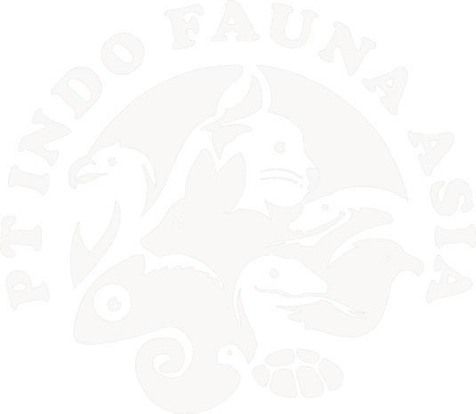 Indo Fauna Asia Logo